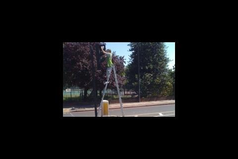 Worker on ladder at traffic lights